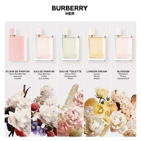 burberry perfume comparison|burberry perfume for women ranked.